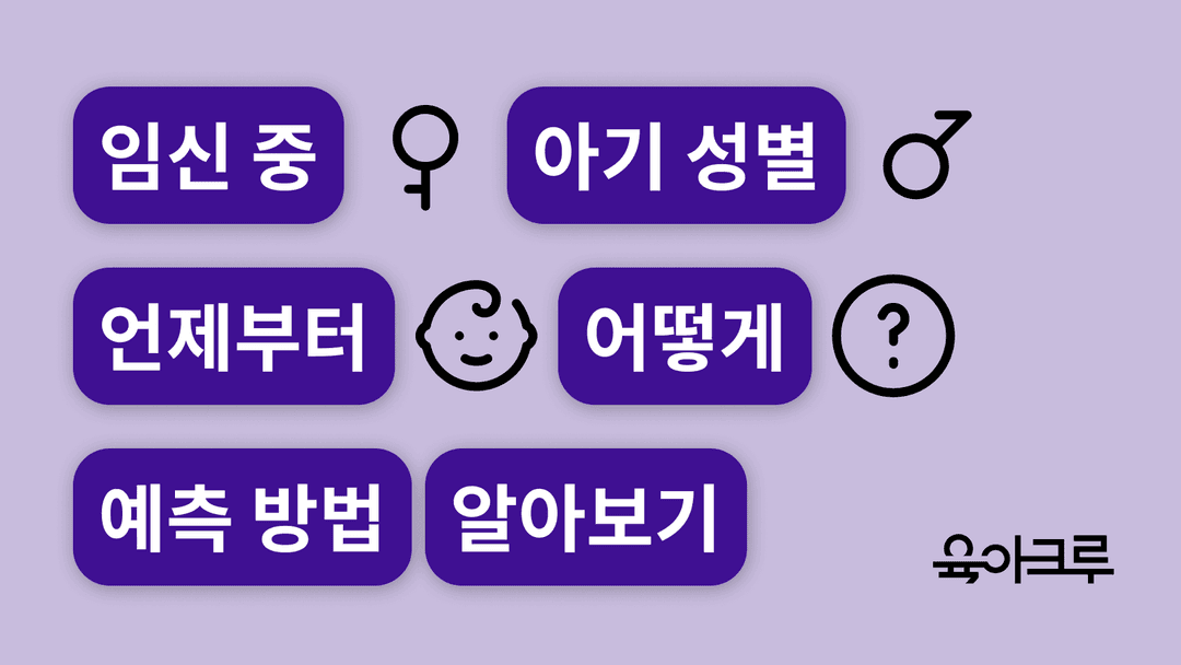 임신 중 아기 성별 어떻게 알 수 있을까요? - 태아 성별 예측 테스트 방법