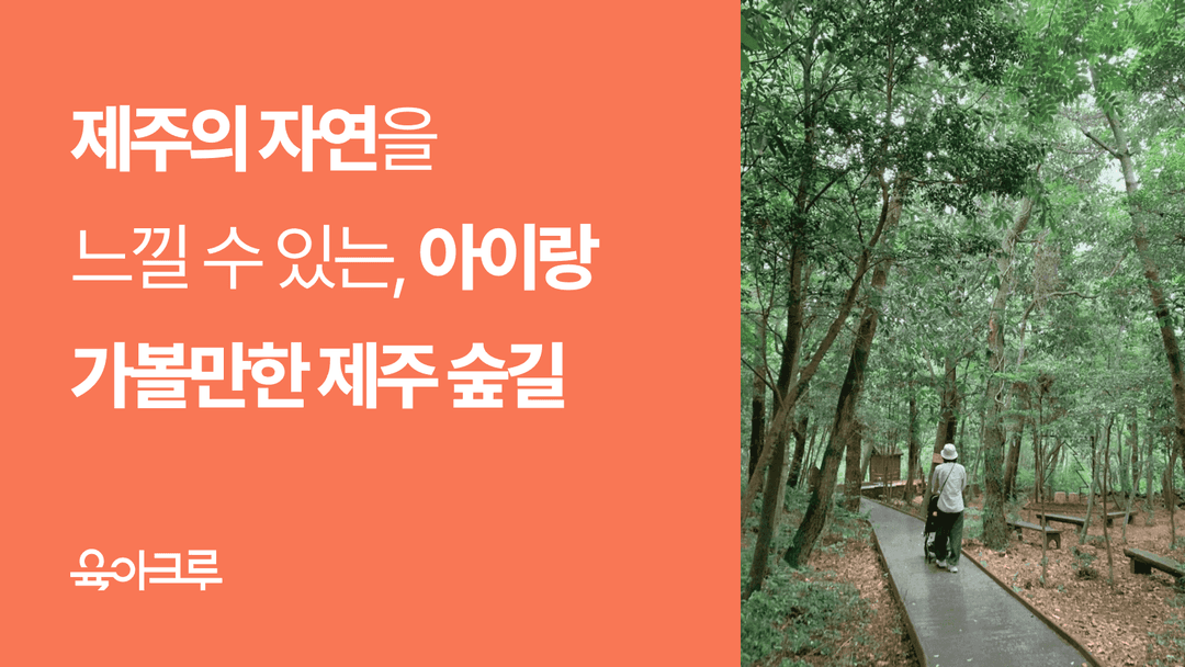 아기랑 제주도 여행 가이드! 계절별 코스 추천, 서귀포 치유의 숲과 곶자왈까지