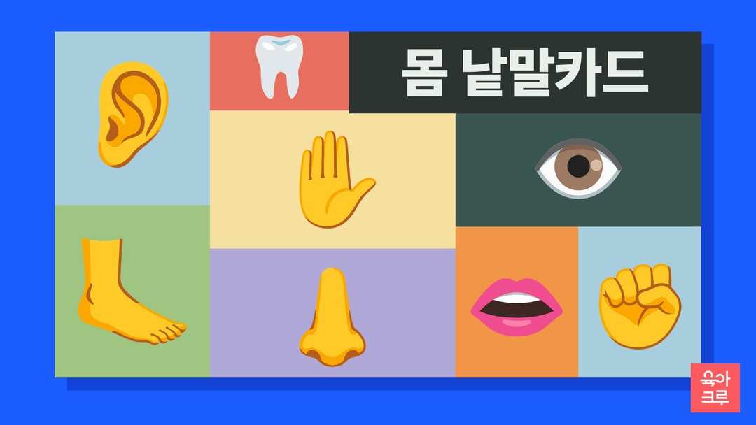 눈과 코, 귀, 손, 발, 이, 입, 주먹 그림이 칸마다 놓인 일러스트