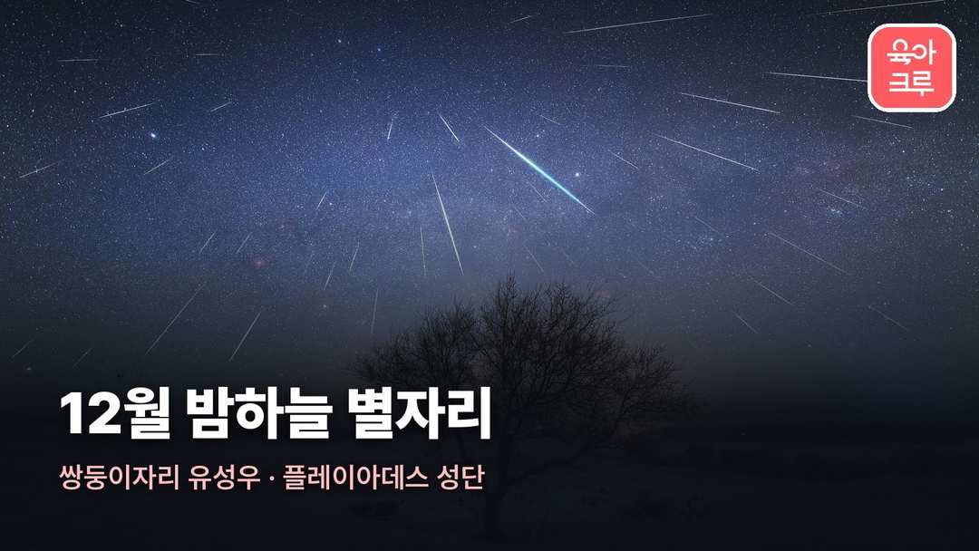 12월 별자리 커버 사진