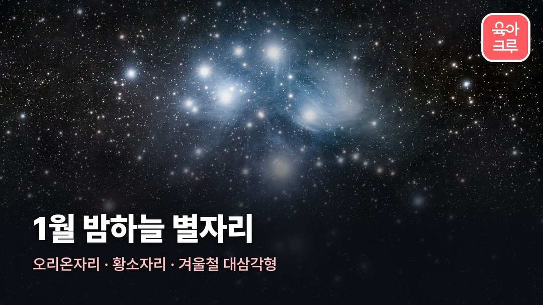 1월 별자리 커버 사진