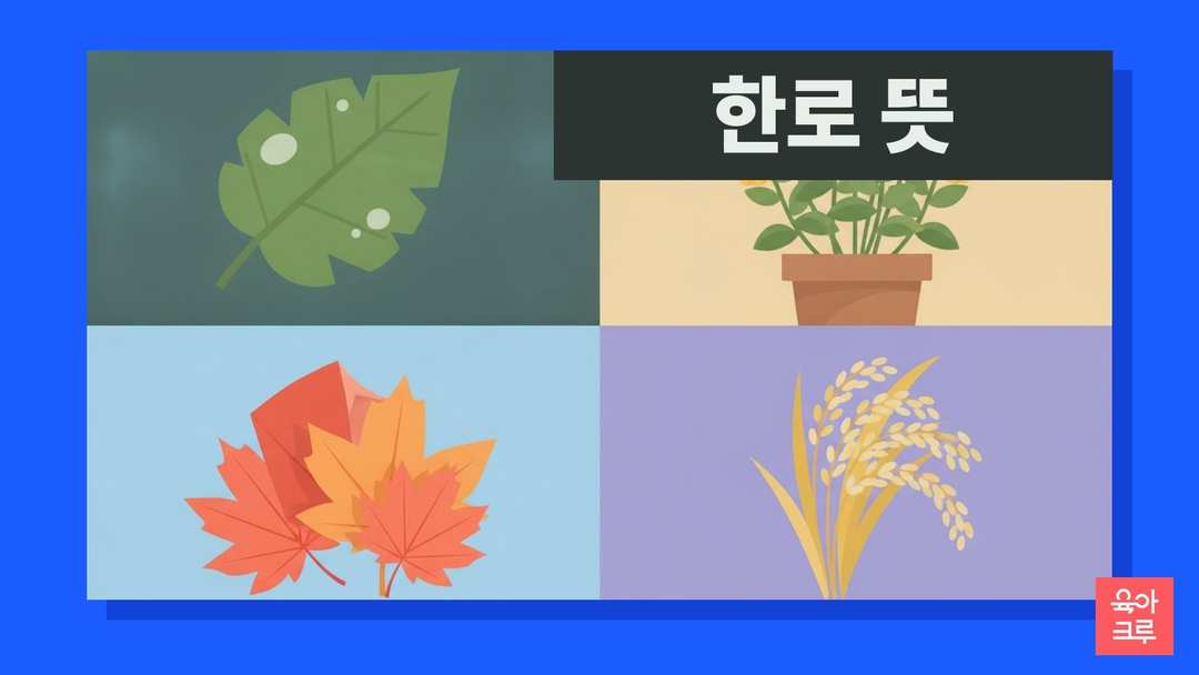 한로 뜻 일러스트, 이슬 맺힌 잎과 국화, 단풍잎