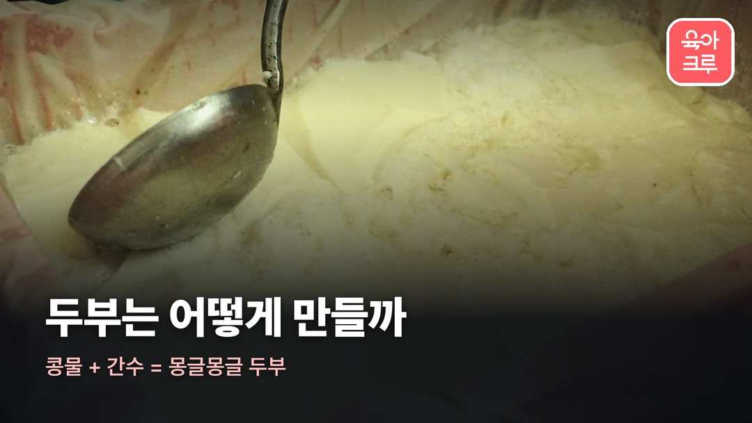 두부 만드는 과정 커버 사진