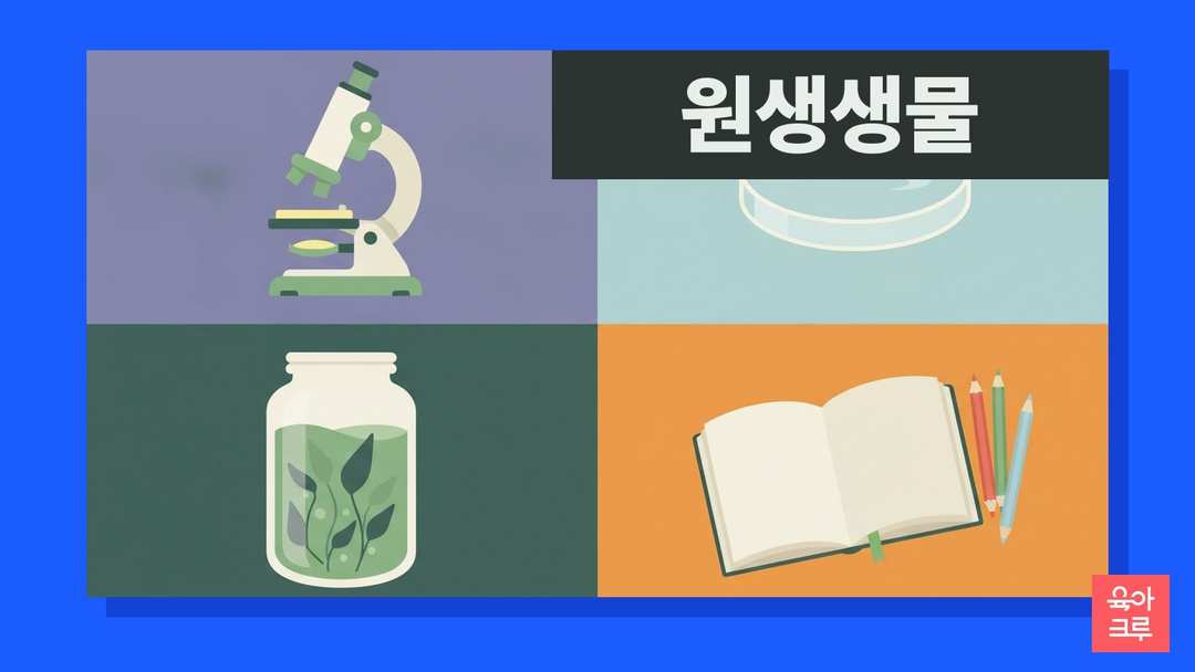 원생생물 일러스트, 현미경과 물방울 접시, 공책