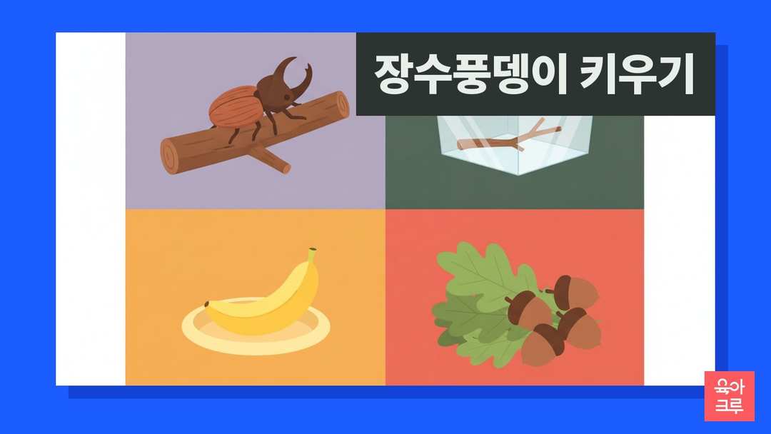 장수풍뎅이 키우기 일러스트, 투명 사육통과 나뭇가지, 곤충 젤리 접시