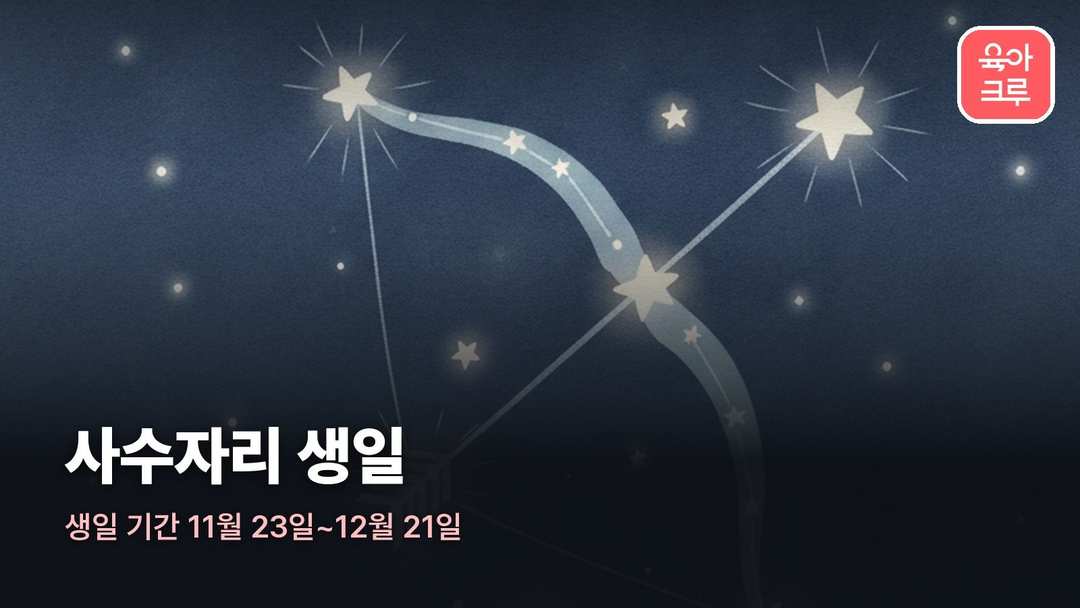 사수자리 커버 일러스트