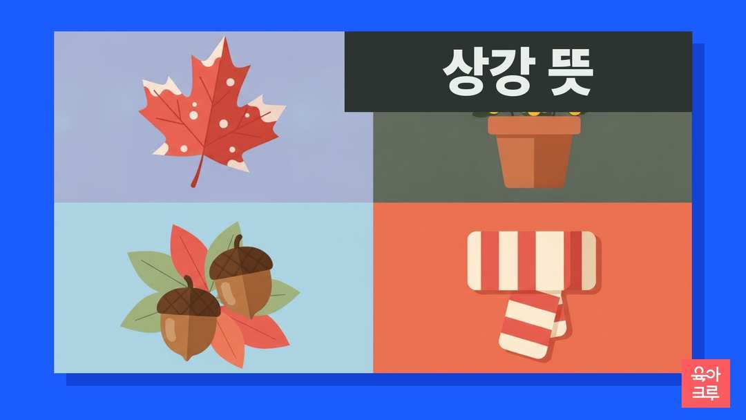상강 뜻 일러스트, 서리 내린 단풍잎과 국화, 도토리