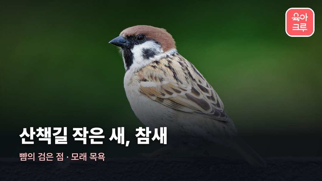 우리 동네 새 이름 커버 사진