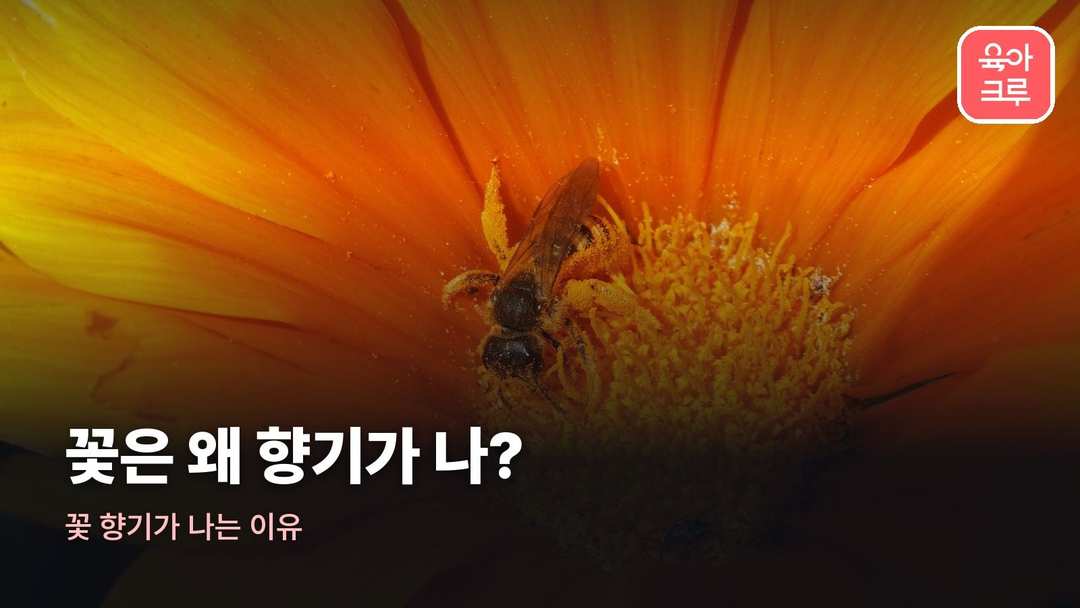 꽃 향기가 나는 이유