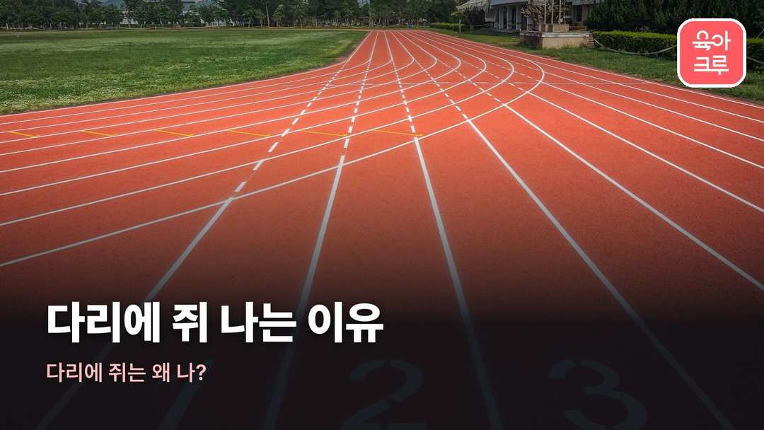 다리에 쥐 나는 이유 커버 사진
