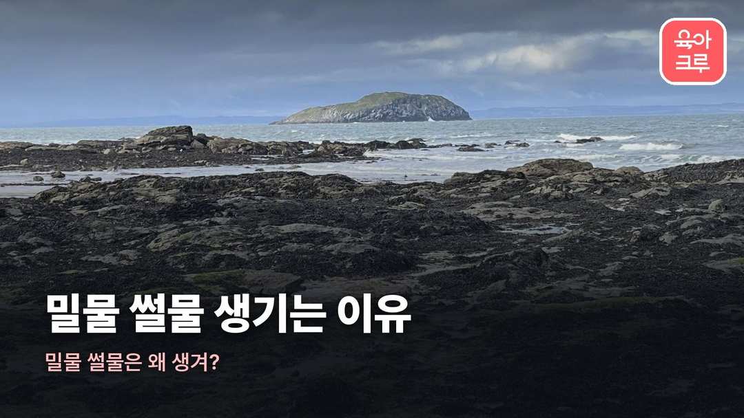 밀물 썰물 생기는 이유 커버 사진