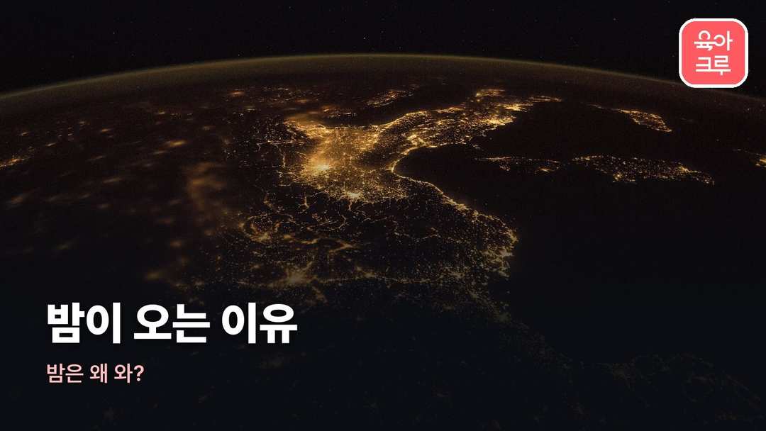 밤이 오는 이유 커버 사진