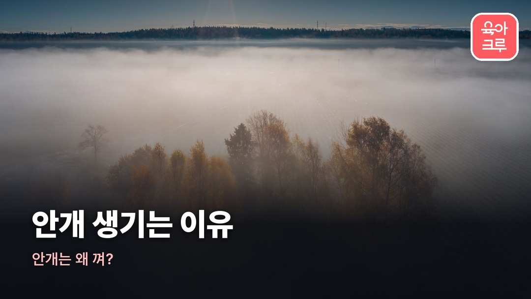 안개 생기는 이유 커버 사진