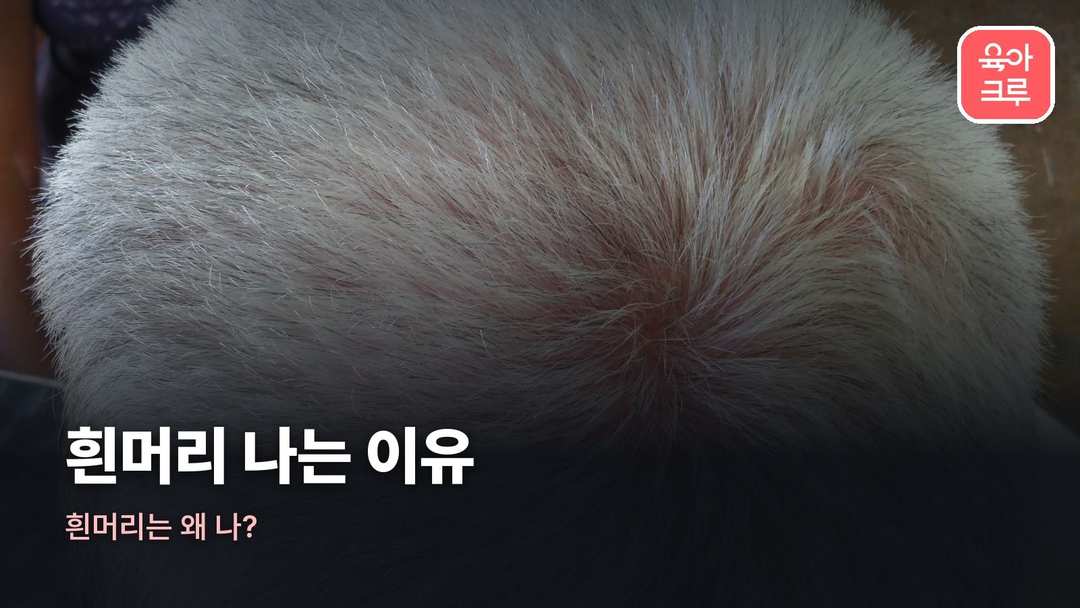 흰머리 나는 이유 커버 사진