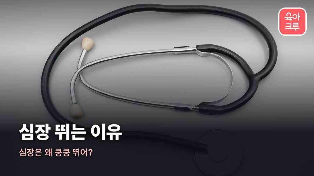 심장 뛰는 이유 커버 사진