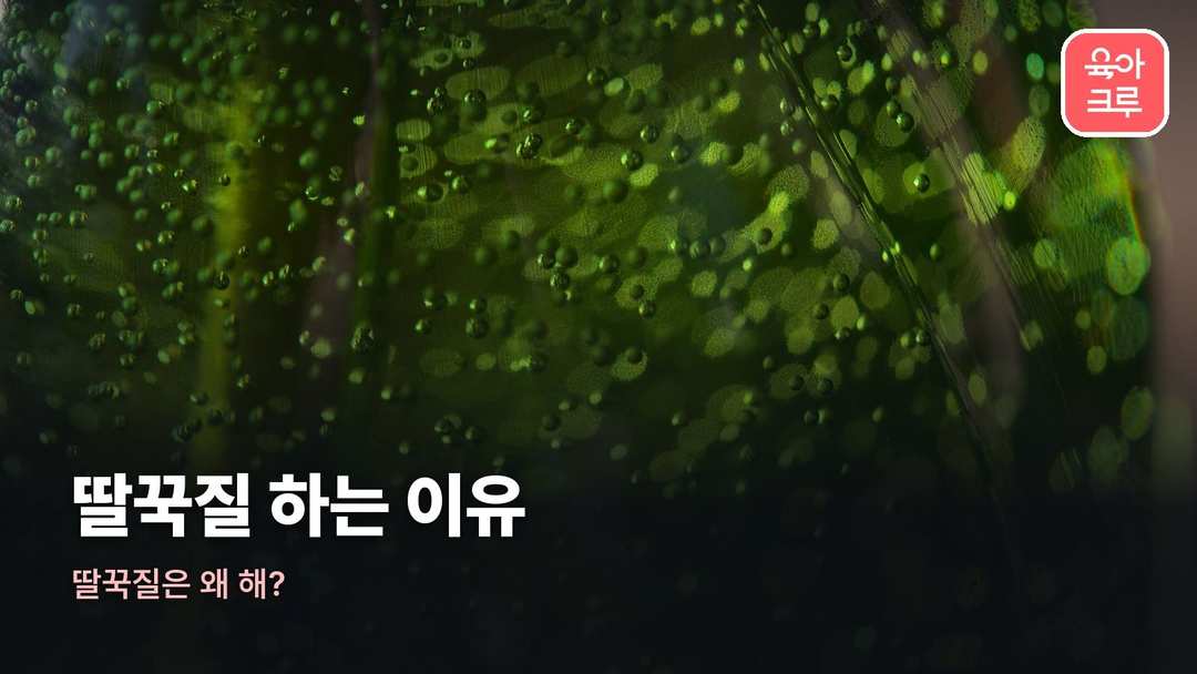딸꾹질 하는 이유 커버 사진