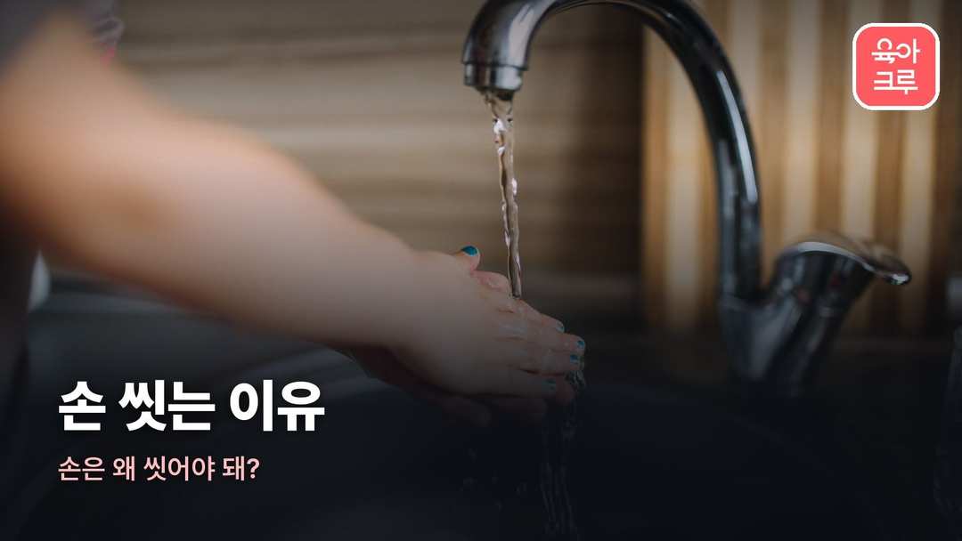 손 씻는 이유 커버 사진