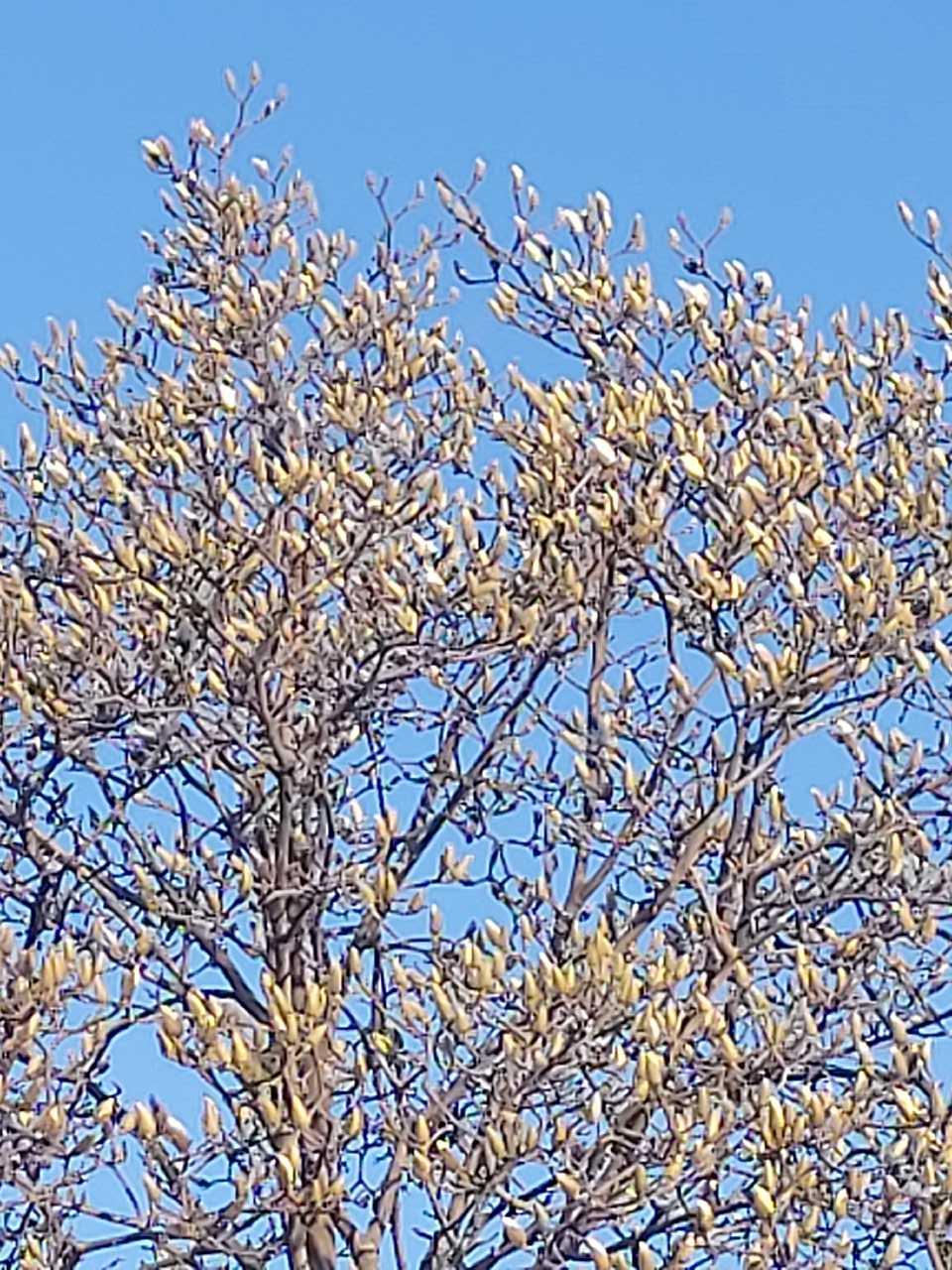 전주시 덕진구 조촌동의 댓글 이미지