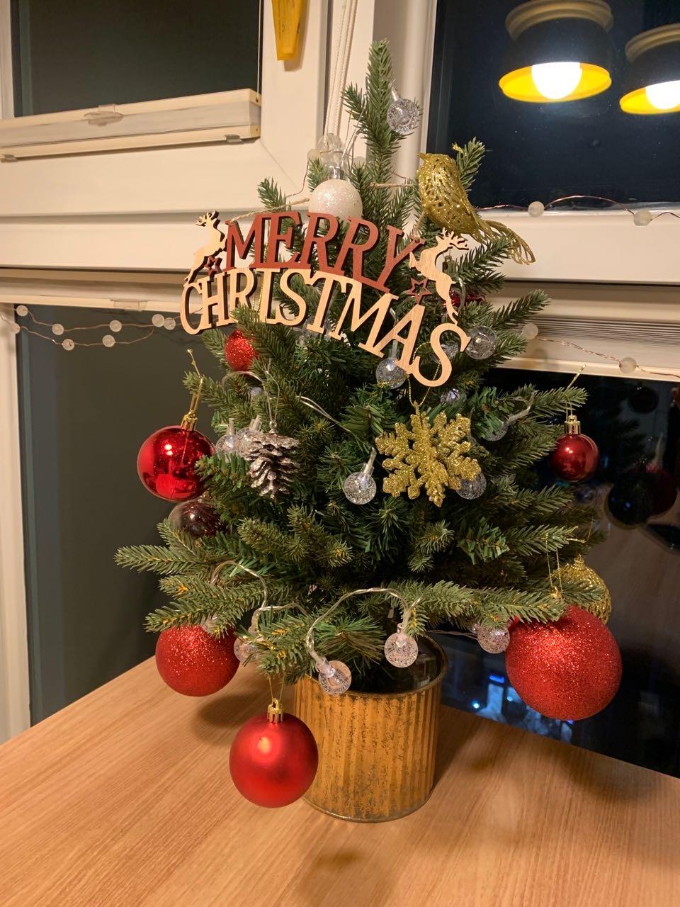 노원구 공릉동의 댓글 이미지