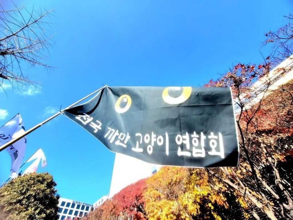 마포구 성산동의 댓글 이미지