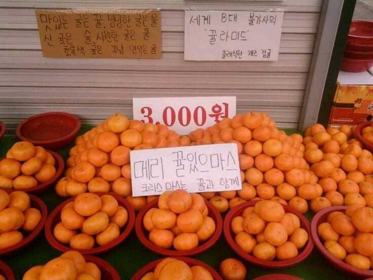 크루톡 이미지 1