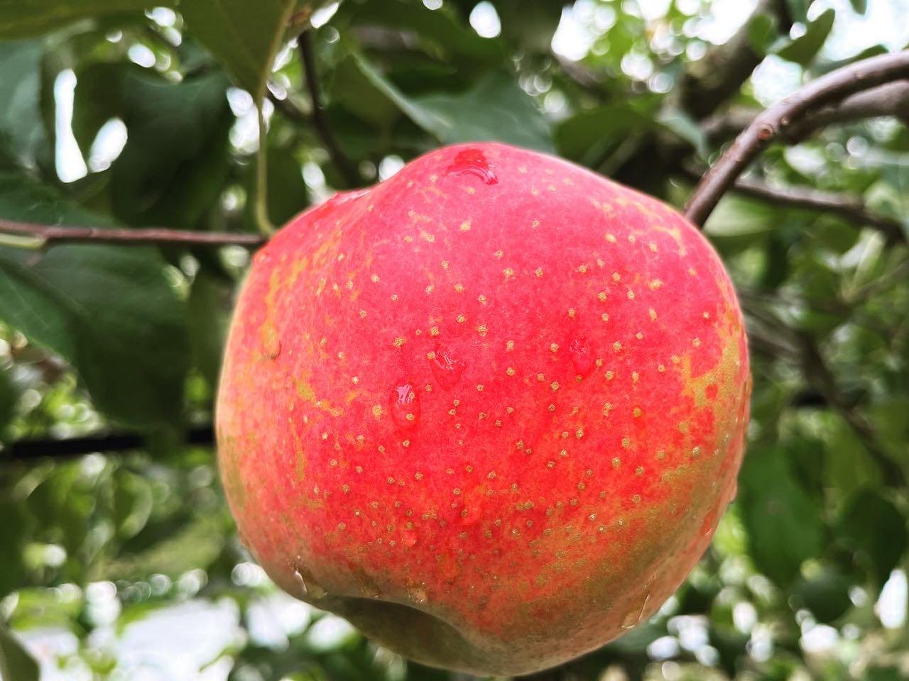 크루톡 이미지 1