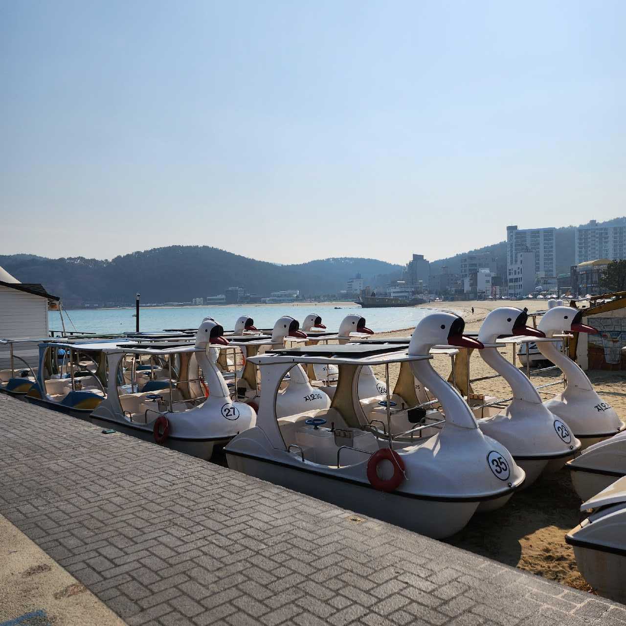 크루톡 이미지 1