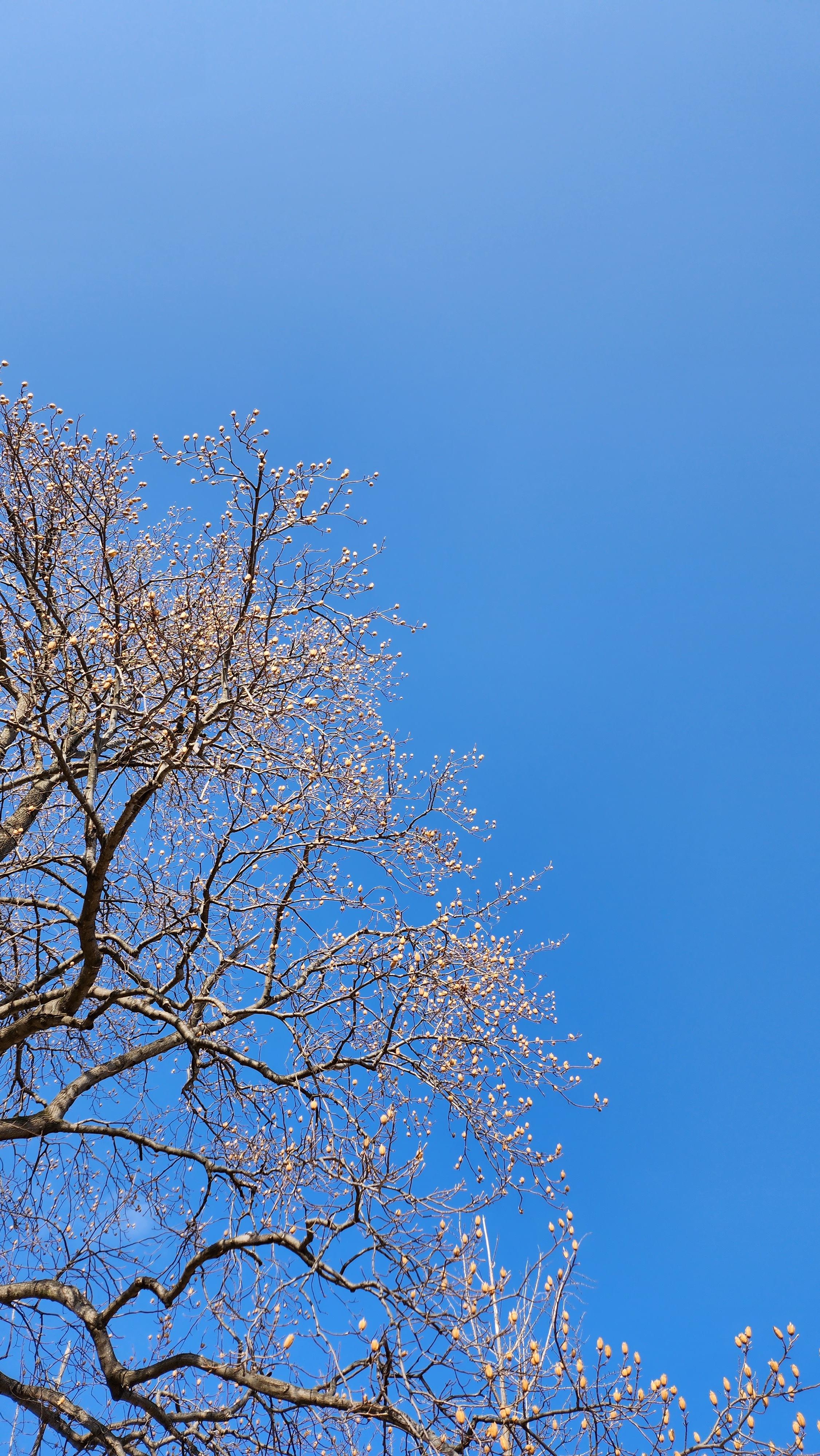 크루톡 이미지 1