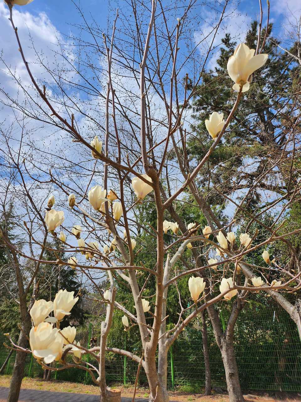 크루톡 이미지 1