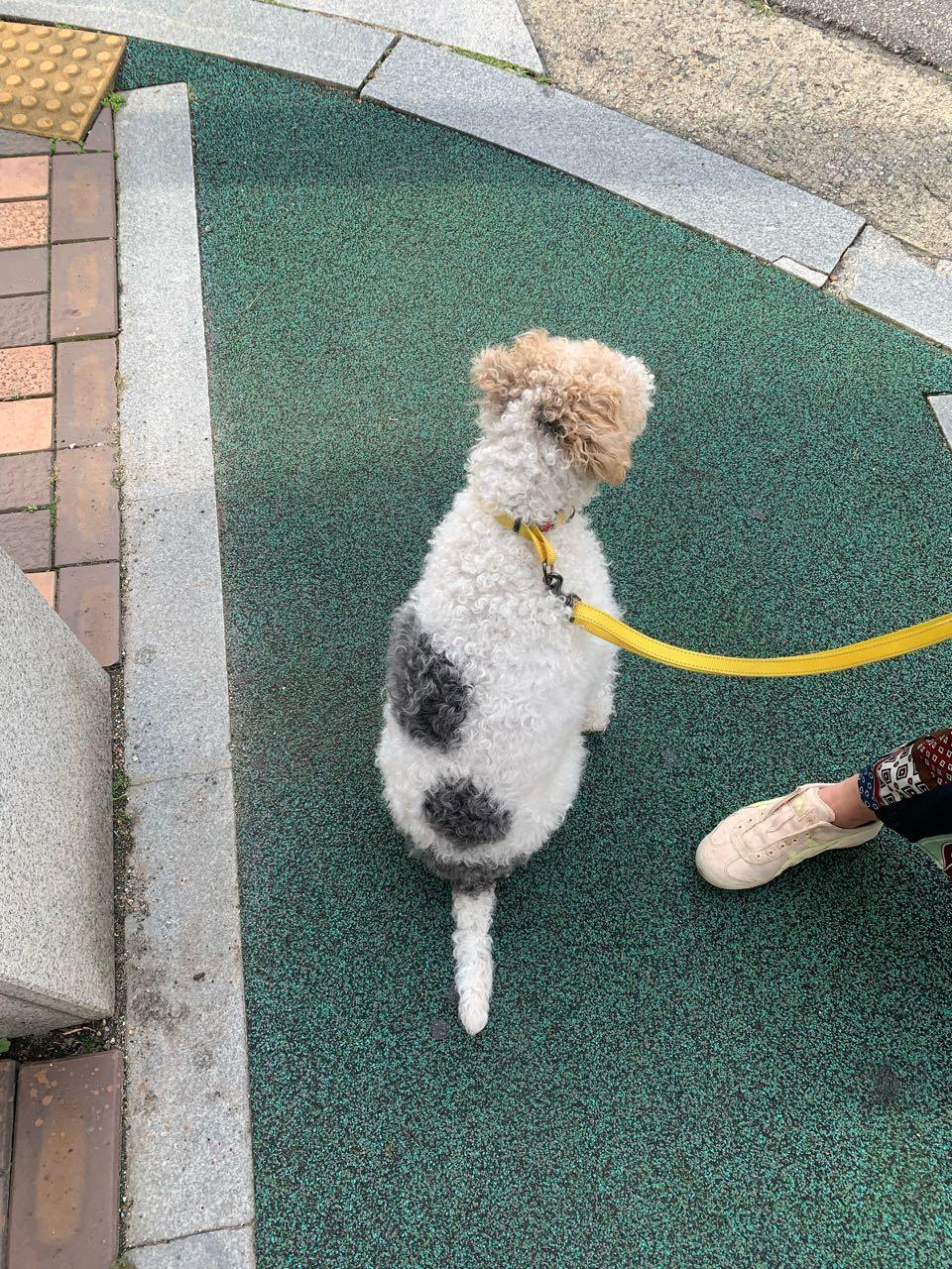 크루톡 이미지 1