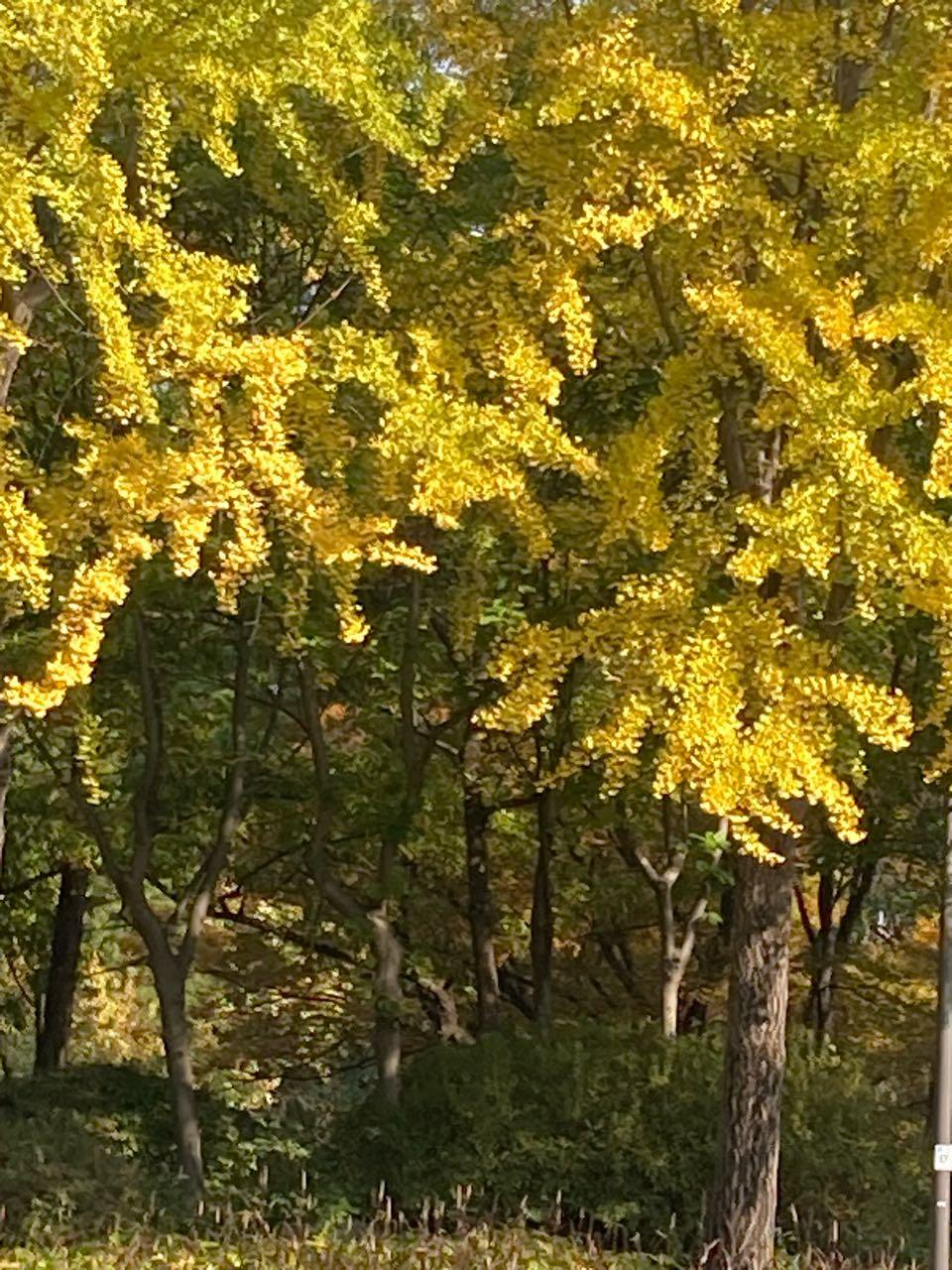 크루톡 이미지 1