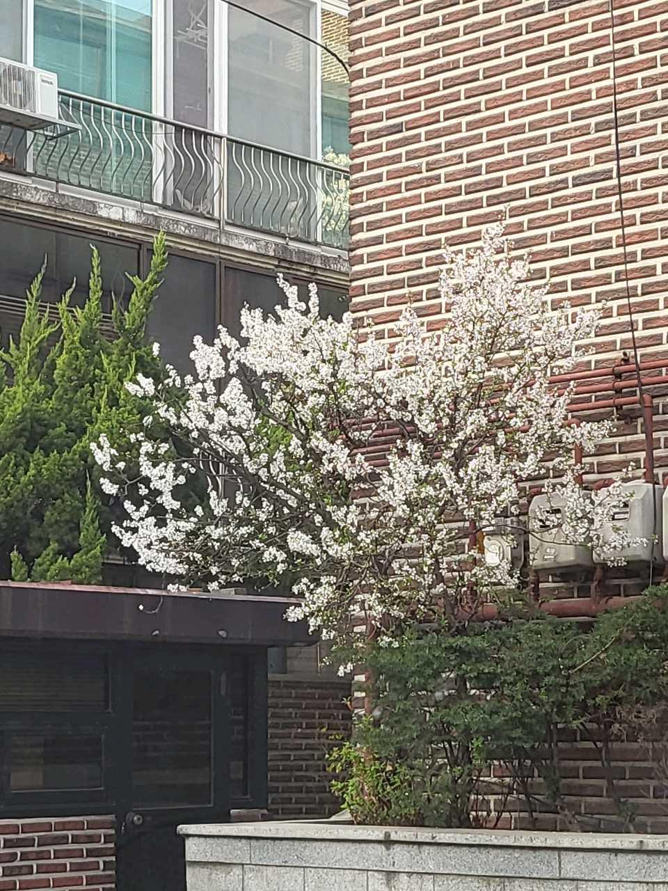 크루톡 이미지 2