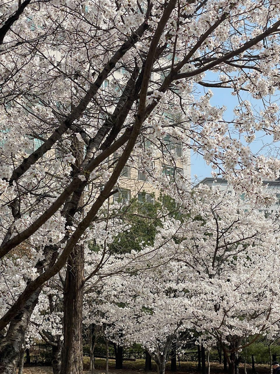 크루톡 이미지 2