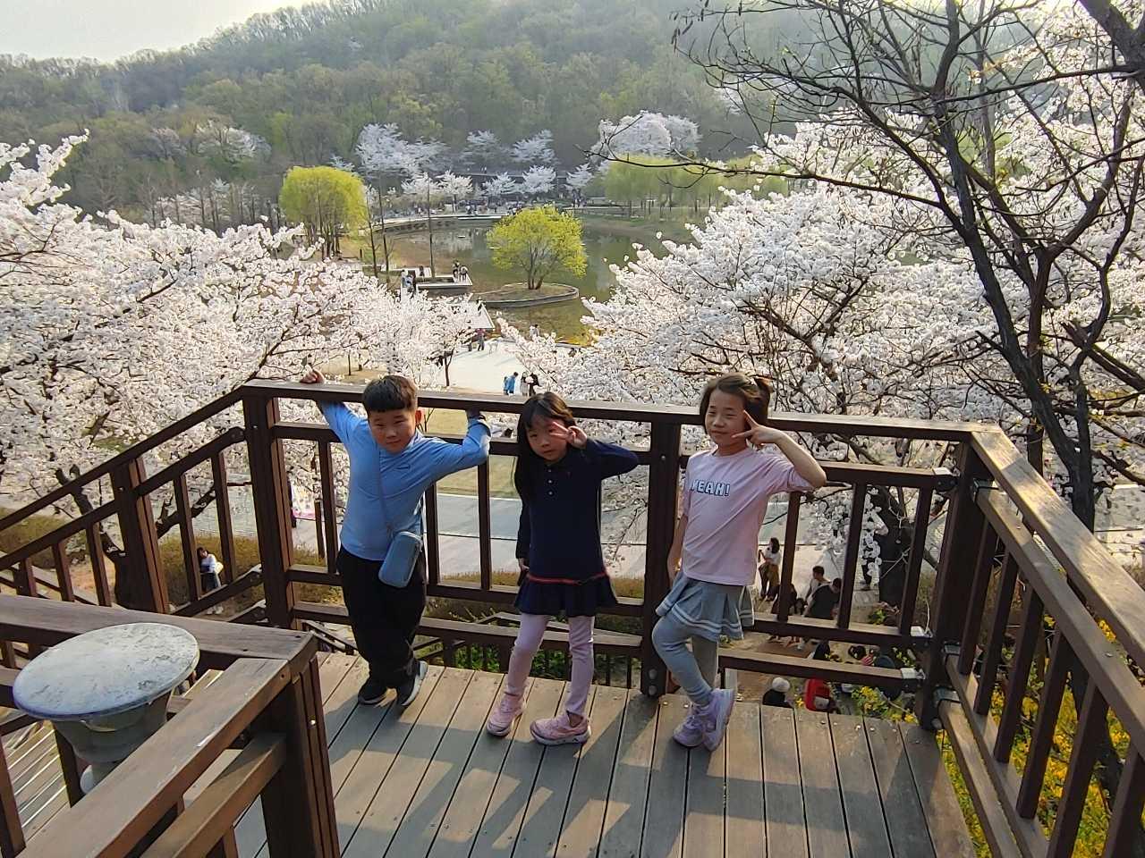크루톡 이미지