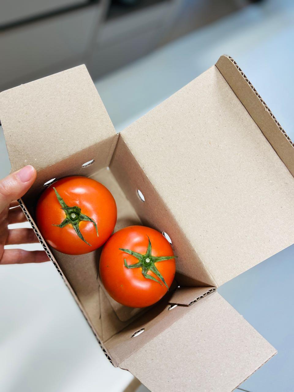 크루톡 이미지 5