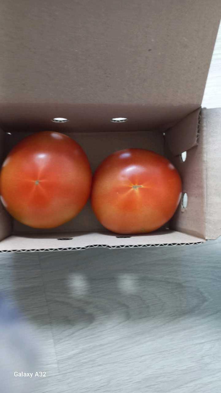 크루톡 이미지 3