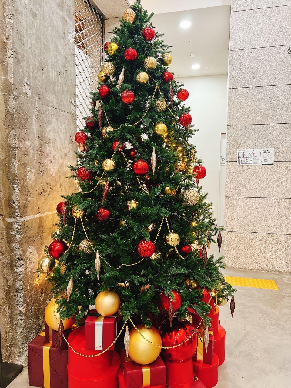 크루톡 이미지 3