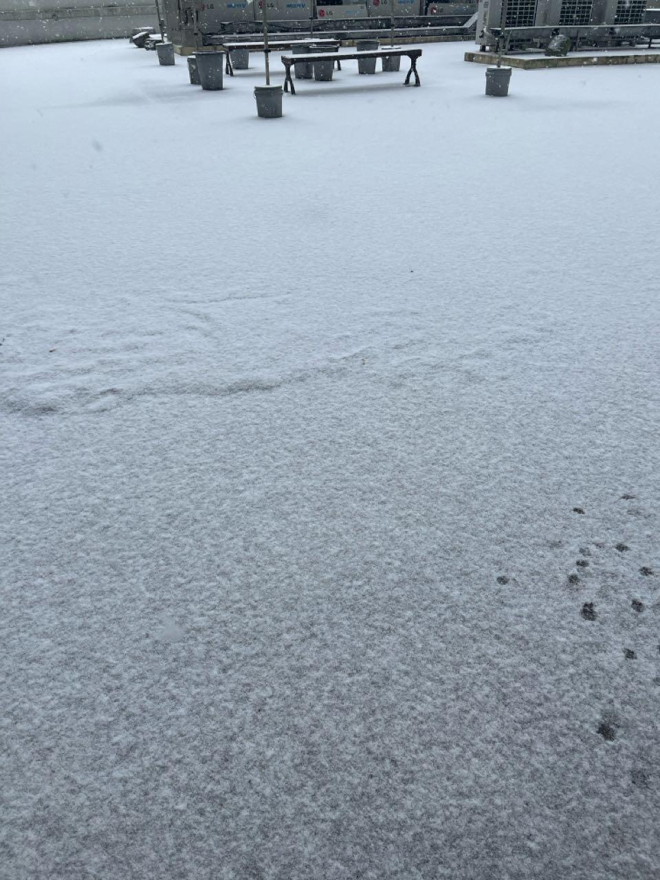 크루톡 이미지 1