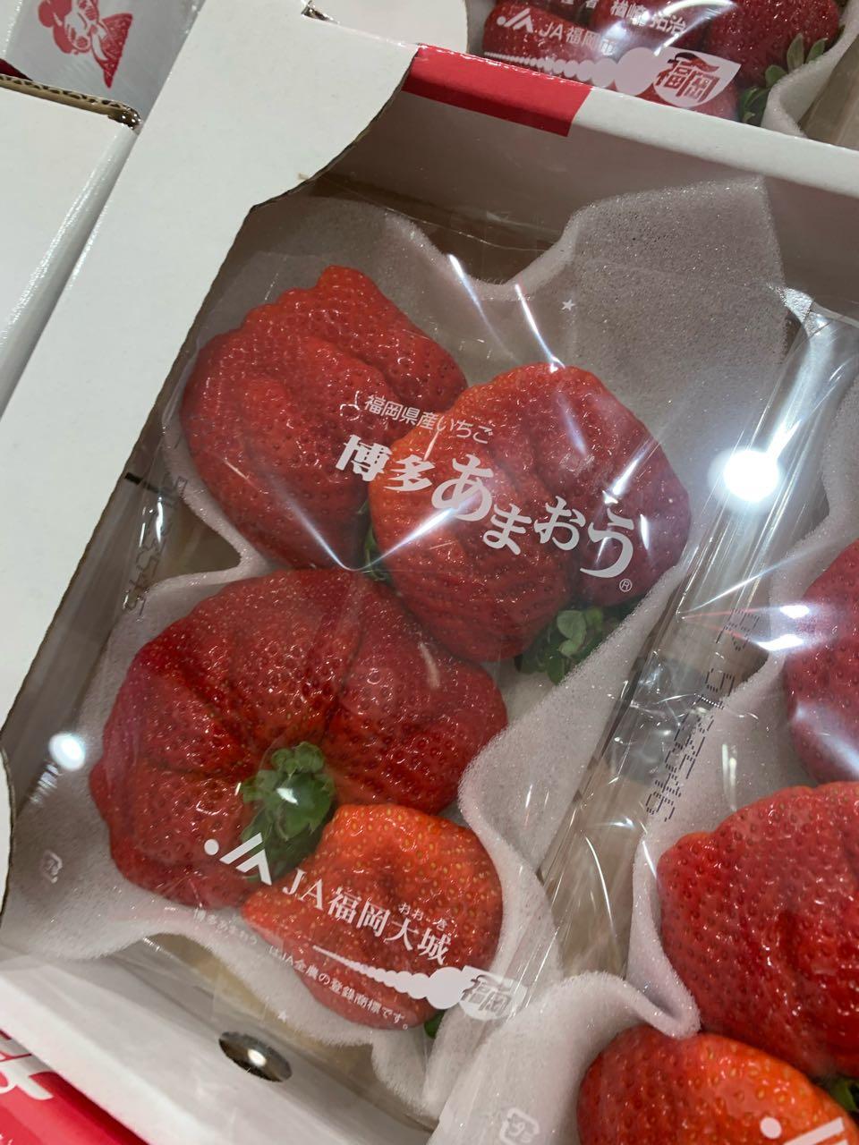 크루톡 이미지 1