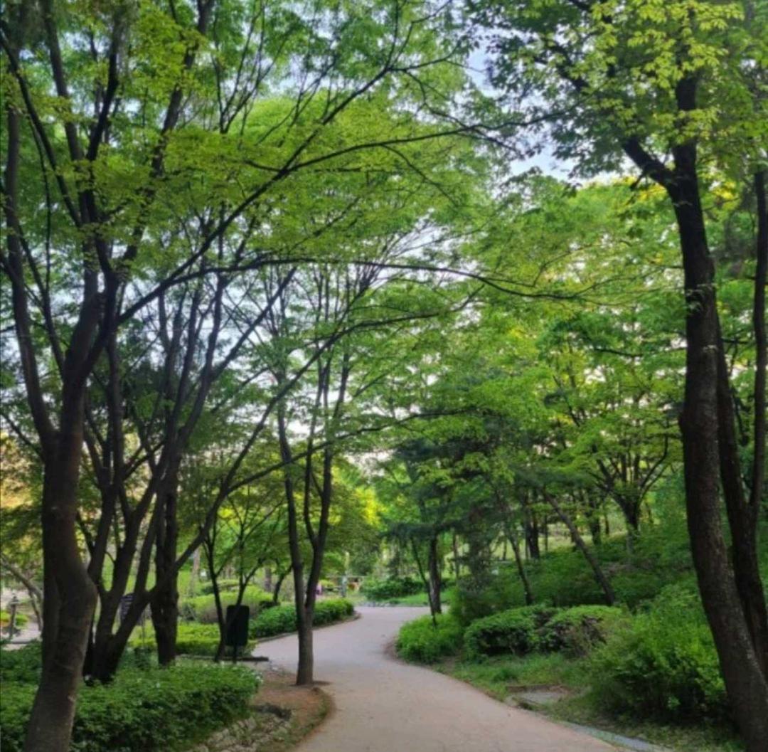 아이랑 산책하기 좋은 곳 효창공원 추천해요!