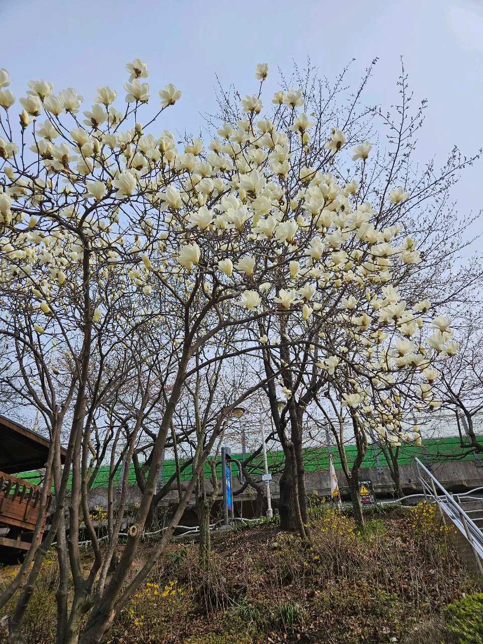 크루톡 이미지