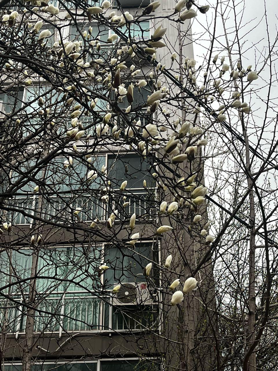 크루톡 이미지