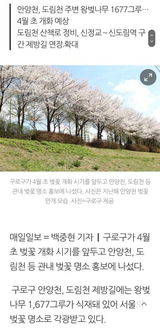 크루톡 이미지