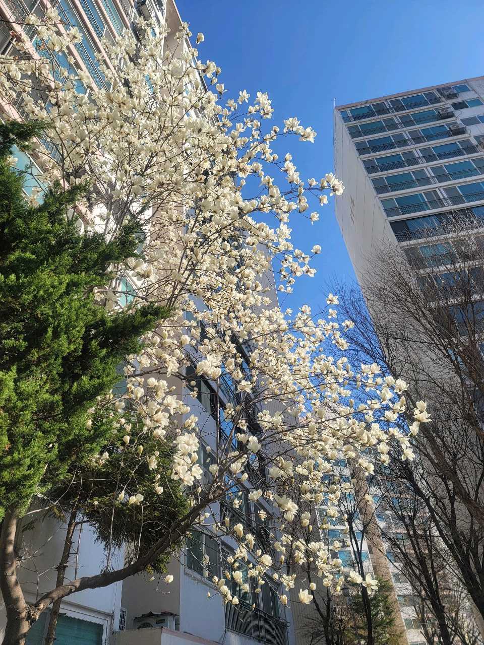 크루톡 이미지