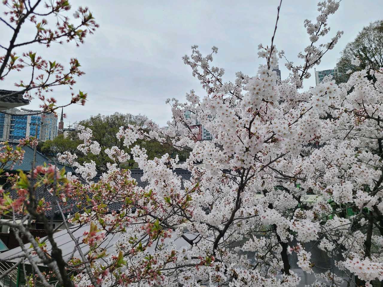 크루톡 이미지