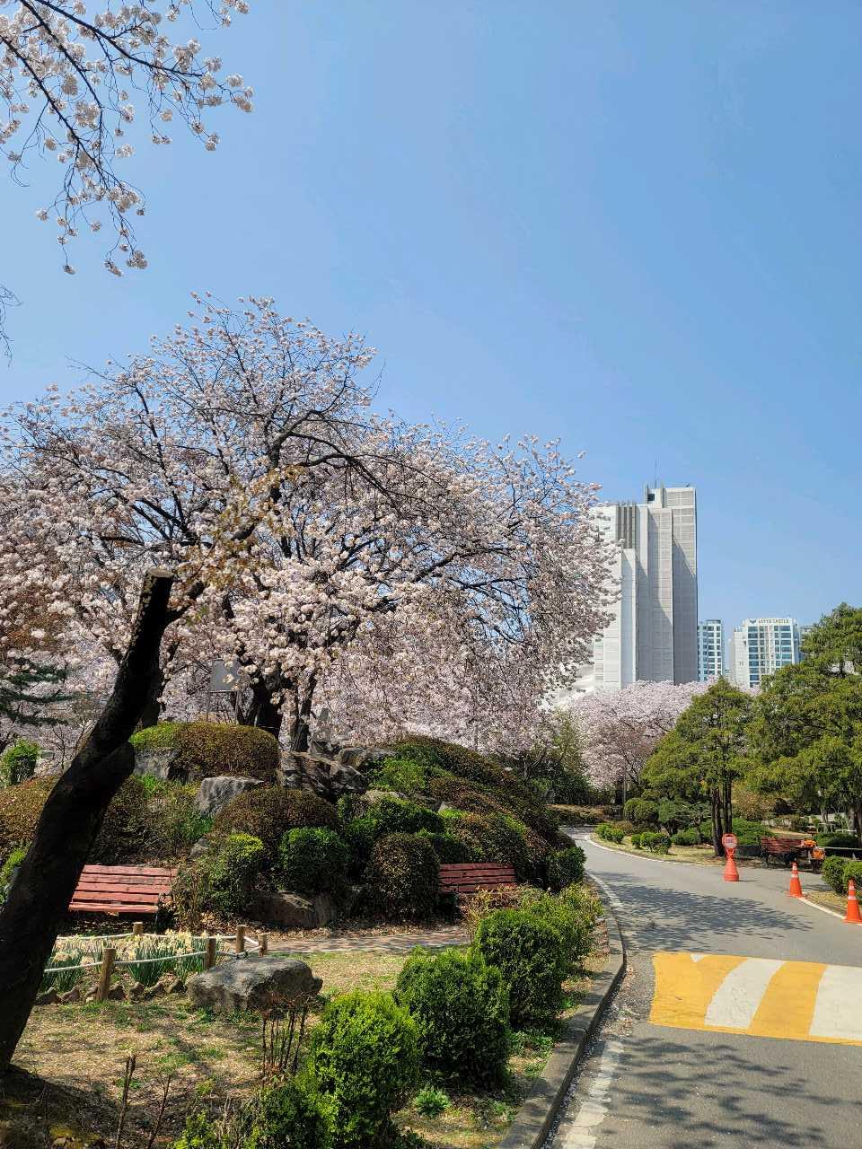 크루톡 이미지