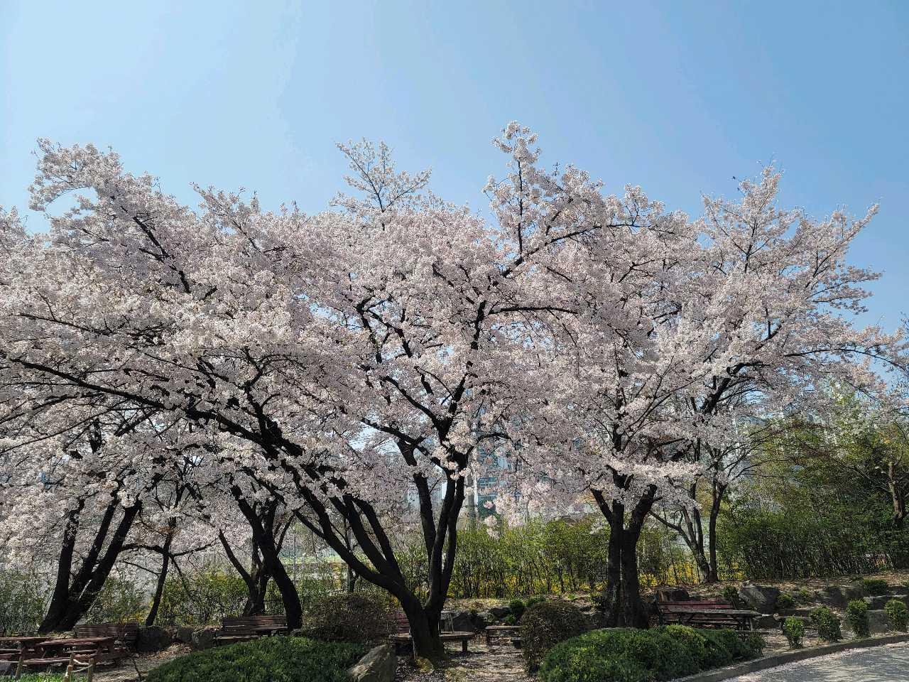 크루톡 이미지