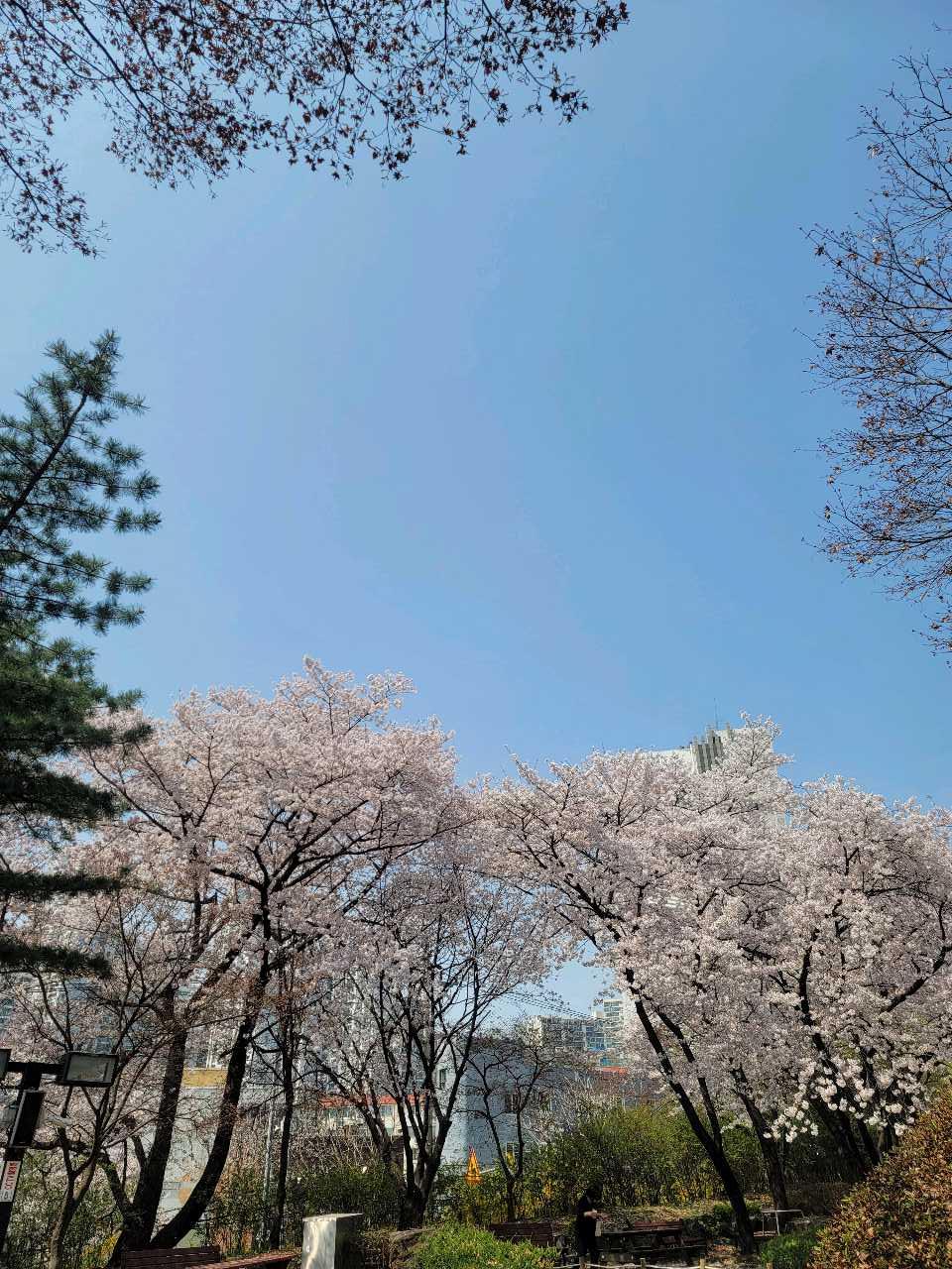 크루톡 이미지