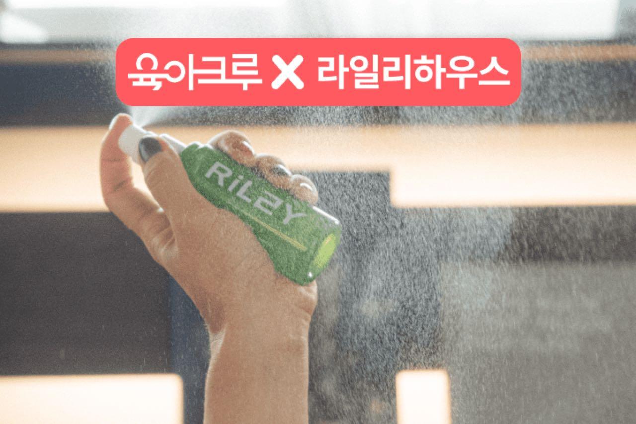 크루톡 이미지