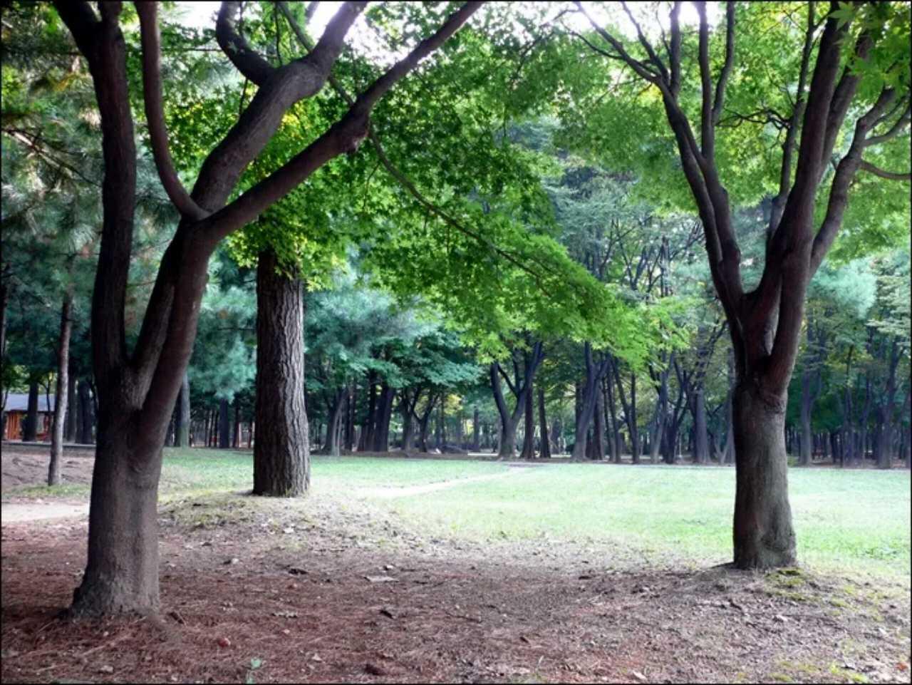 크루톡 이미지
